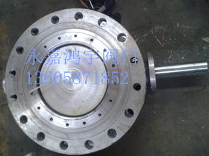 品牌 生產(chǎn)供應(yīng)商廠家 今日行情價(jià)格走勢(shì) 永嘉縣江北鴻宇閥門廠